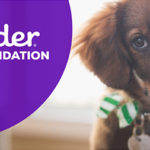 Sites-like-Petfinder